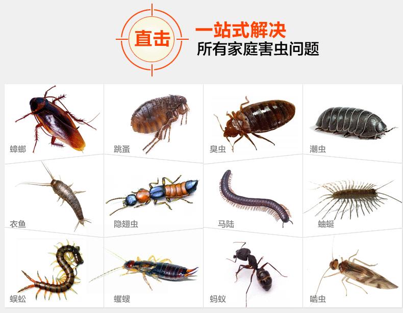 蟑螂的成長（zhǎng）特（tè）性介紹