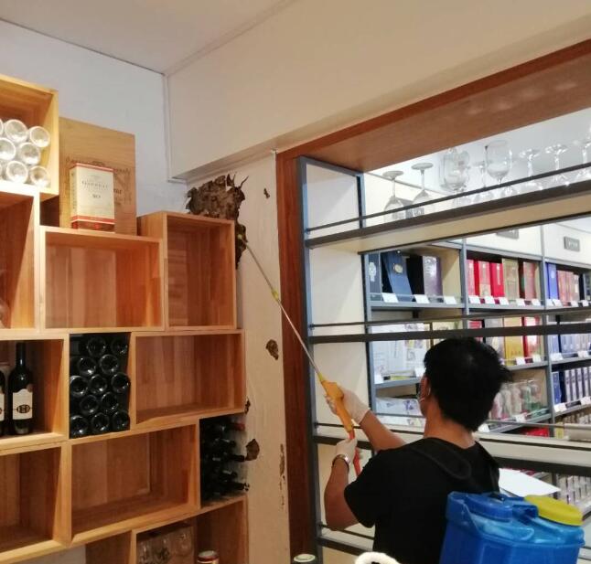 家庭如何進行白（bái）蟻防治
