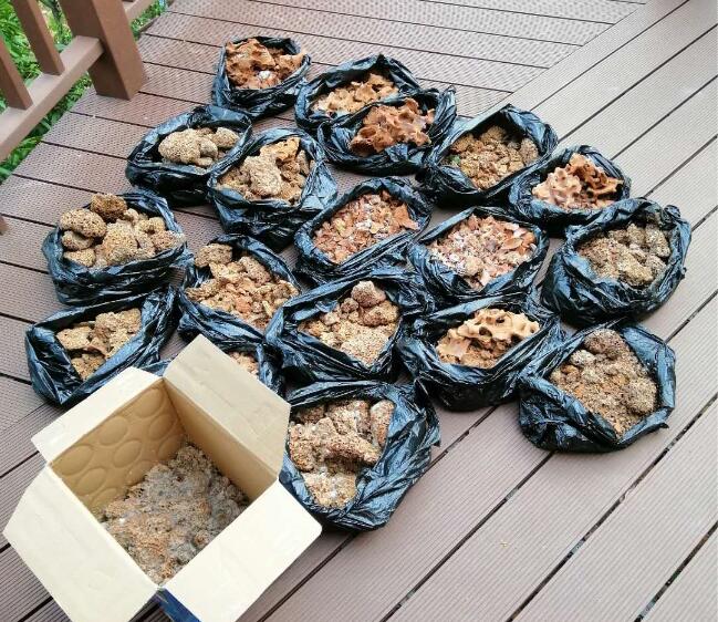 如何（hé）知道家裏有沒有白蟻？如何預防或消滅白（bái）蟻？